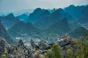 基因组dna提取的原理