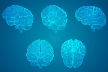 网贷想上岸,和父母坦白后不管我了怎么办-