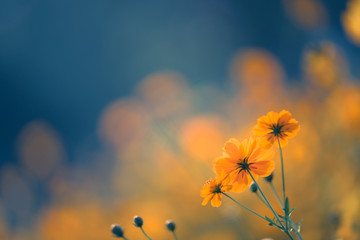 广西贵港市桂平市有多少人口