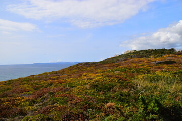 广西贵港市桂平市有多少人口