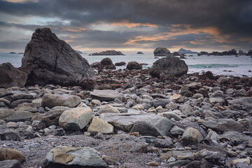 基因组dna提取的原理