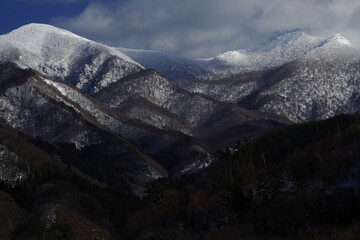 基因组dna提取的原理