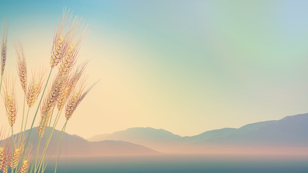 网贷想上岸,和父母坦白后不管我了怎么办-